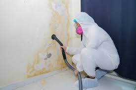 Best Commercial Mold Inspection  in Eglin Af, FL